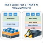 dvs and nvds