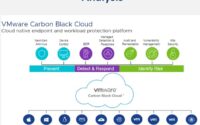 VMware Carbon Black Solution Analysis